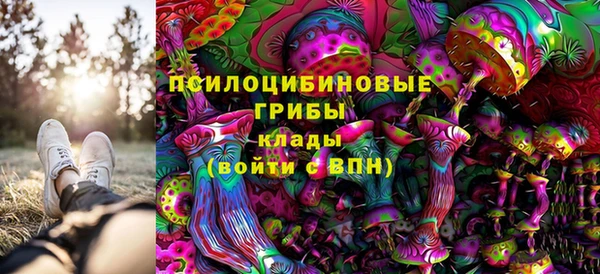 дживик Зеленодольск