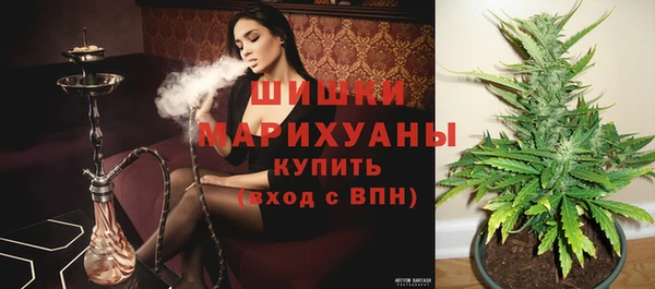 дживик Зеленодольск