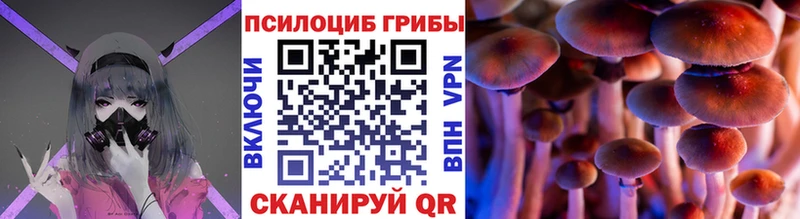Галлюциногенные грибы Psilocybe Спас-Клепики